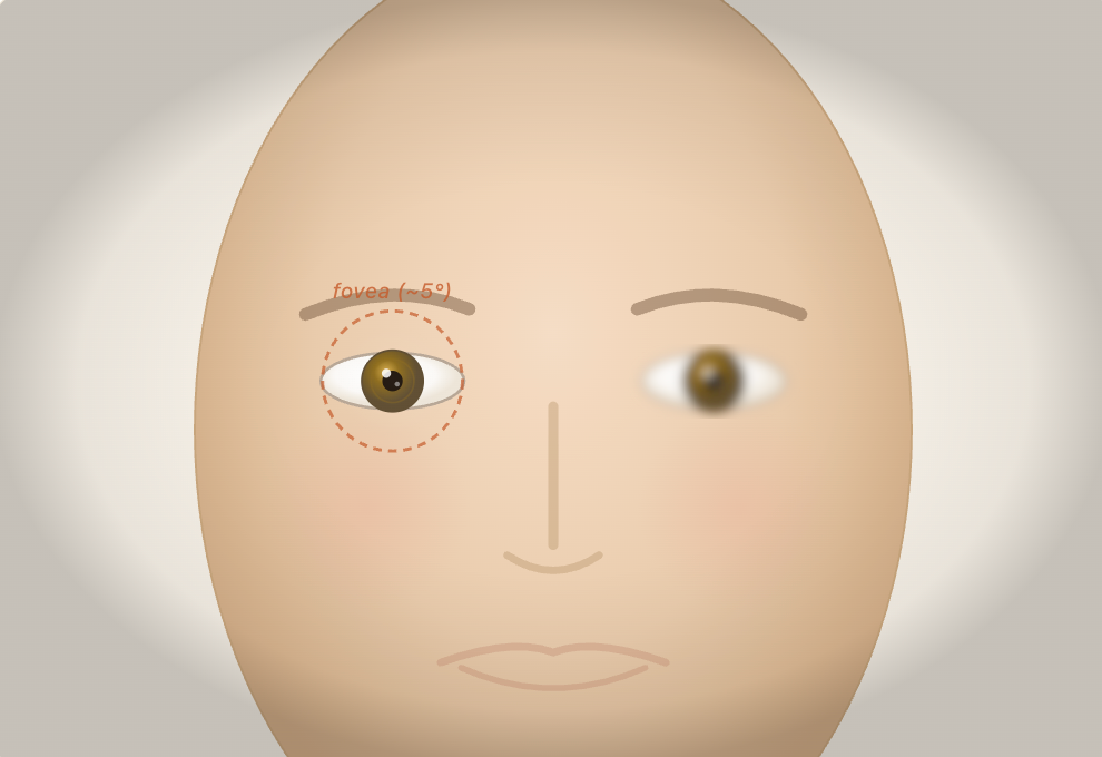 Cover image for Why you can't make double eye contact