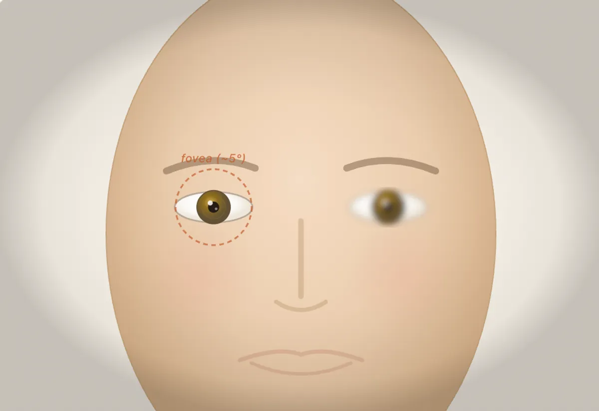 Why you can't make double eye contact