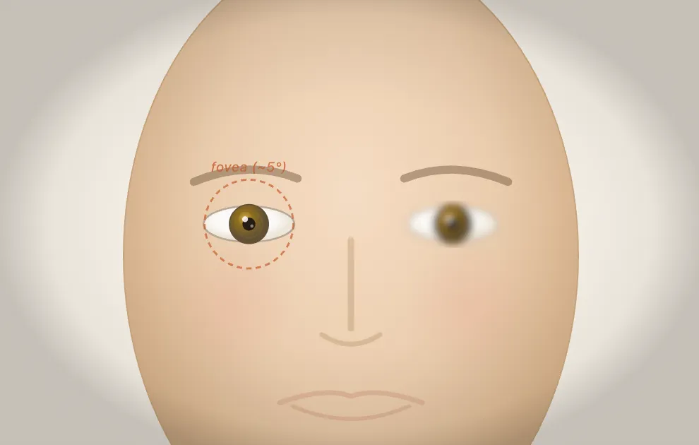 Why you can't make double eye contact
